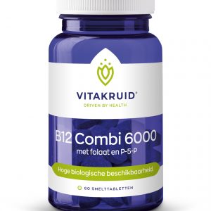 B12 combi 6000